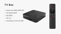 Hotselling Q5 ATV Android 10.0 OS 4K Smart TV Box Allwinner H313 lecteur multimédia 2GB 8GB ATV voix à distance gratuit hubo film