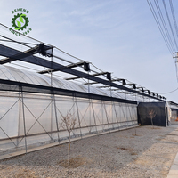 Structure de serre commerciale plantation système hydroponique de fraise équipé de serres à climat contrôlé à vendre