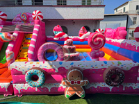 Château gonflable avec toboggan pour enfants, château de saut commercial pour location événementielle