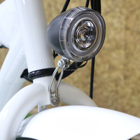 Vélo électrique Hummer à pneus larges de 26 pouces, 750 W, puissant, tout-terrain, pour adultes, directement de l'usine OEM