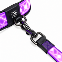 Ensemble collier et laisse pour chien en silicone moulé 3D rechargeable avec LED et fibres optiques, 14 modes d'éclairage, double charge Type-C