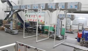 DZJX pupuk garam kacang kering biji-bijian kentang kustom profesional grosir 1,5l tipe Z lift ember pemberi makan konveyor - Product Image 6