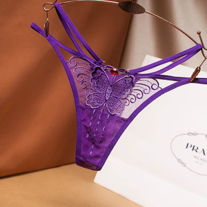 Nuove Idee di Prodotto 2026: Biancheria Intima Femminile Seducente, Ultra-Sottile con Ricami e Rete Trasparente - Product Image 2