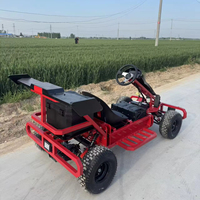 Karting électrique tout-terrain deux places personnalisé OEM, 4 roues, avec suspension indépendante, pour location