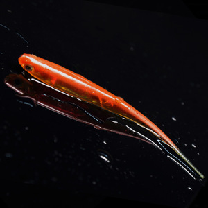 Señuelos de Pesca Biomiméticos Suaves, Señuelos Artificiales Realistas con Forma de Arcoíris, 5 Colores, para Pesca de Lubina y Pez Mandarín en Agua Dulce - Product Image 2