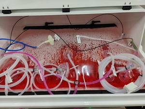 Sac d'échantillon de laboratoire de sac de culture cellulaire de transporteur de tissu de <span class=keywords><strong>membrane</strong></span> de perfusion de suspension - Product Image 3