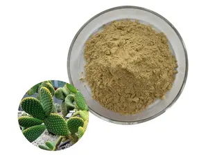 High Quality 20:1 Prickly Pear Powder Opuntia Ficus-Indica Nopal Cactus Leaf Extract Powder