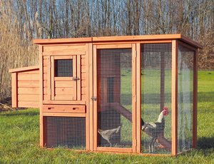 Nidi in Legno per Animali da Esterno con Tetto Piatto, per Conigli, Pollame, Anatre, Galline Ovaiole, Gabbie e Pollai - Product Image 5