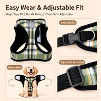 Ensemble de laisse et de collier pour chien réglable et écologique de Noël avec motif de dessin animé en polyester