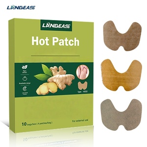 Parche Herbal de Jengibre Personalizado para Dolores Crónicos y Comodidad en Climas Fríos - Product Image 1