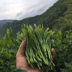 Roi des singes de haute montagne Taiping Hou kui thé à arôme d'orchidée haut de gamme meilleur thé vert - Product Image 4