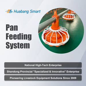 Linea di Alimentazione Automatica per Pollame con Coclea e Distributore a Piatto, Regolabile per Distribuzione Uniforme, Salva-Lavoro, Resistente per Allevamenti di Polli da Carne e Riproduttori - Product Image 5