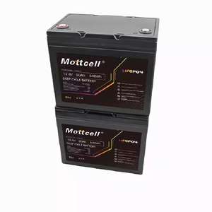 Batteria LiFePO4 12.8V 100Ah per Accumulo Energetico Domestico, Cella Personalizzata - Product Image 6