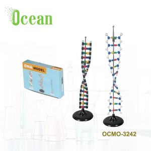 Wissenschaft <span class=keywords><strong>DNA</strong></span>-Moleküls truktur biologisches Modell Hersteller buntes <span class=keywords><strong>DNA</strong></span>-Molekular modell - Product Image 3