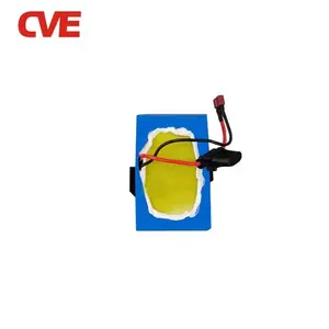 Cve Custom ized Ebike Batterie Elektro fahrrad E Fahrrad Akku 36V 48V 52V 12ah 12.5ah 13ah Lithium Batterie
