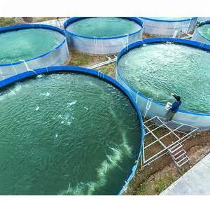 Réservoir d'aquaculture de 0.95m Revêtement de bâche en <span class=keywords><strong>PVC</strong></span> Acier galvanisé Étang à poissons rectangulaire Stockage d'eau de pluie Réservoir d'eau Étang à poissons - Product Image 1