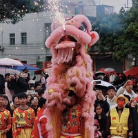 Haute qualité traditionnel chinois Lion danse couleur Art nouvel an adulte Dragon laine peluche Performance authentique Lion mascotte Costume