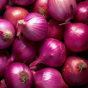 Cebolla Roja Bombay de la Marca Moon Star, Variedad Agrícola, Color Rojo Intenso, Forma Uniforme, 99.99% de Pureza, Origen Pakistán, Comercial - Product Image 5