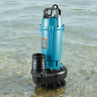 Pompe à eau submersible électrique haute pression monophasée 220V série QDX CGO pour l'irrigation agricole