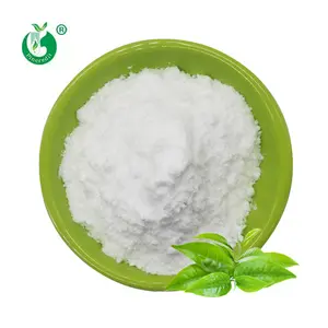 Pincredit Fabrikant Groothandelsprijs Groene Thee <span class=keywords><strong>Extract</strong></span> 98% Catechine Poeder - Product Image 1