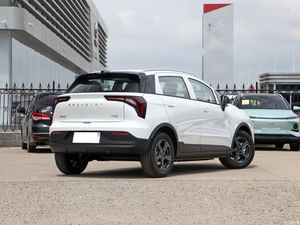 Géométrie E vente en gros, haute qualité, <span class=keywords><strong>location</strong></span>, Charge <span class=keywords><strong>rapide</strong></span>, Auto, batterie électrique privée, prix bon marché, <span class=keywords><strong>voiture</strong></span> électrique - Product Image 6