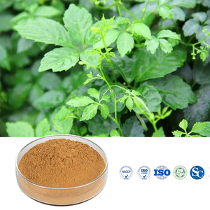 Prix de gros Gypenosides 98% <span class=keywords><strong>Jiao</strong></span> <span class=keywords><strong>Gu</strong></span> <span class=keywords><strong>Lan</strong></span> Pentaphyllum Gynostemma Extrait Gypenoside - Product Image 3