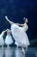 Vestido de Ballet Largo Romántico con Tirantes Finos y Adornos Blancos para Mujer, Disfraz de Bailarina para Representación Escénica de El Lago de los Cisnes