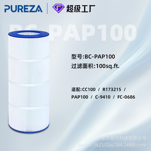 Filtre à eau Bipure Pool Core BC-PAP100, pièce de rechange pour filtration d'eau de piscine et spa - Product Image 5