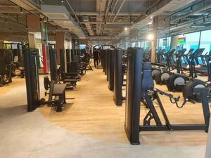 Đa-Chức Năng Pin Nạp Phòng Tập Thể Dục Thiết Bị glute Ổ Đĩa Hip Lực Đẩy Máy Cho Chân Đào Tạo Hip Tập Thể Dục Sức Mạnh Đào Tạo - Product Image 4