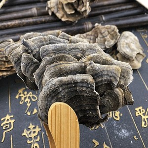 Fungo Selvatico Yunzhi di Grado Alimentare, Fungo Coda di Tacchino a Fette, Fungo Essiccato Sfuso con Fondo Bianco e Fascia Giallo-Verde per Tisane - Product Image 3