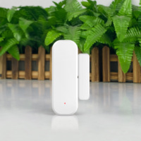 Détecteur d'ouverture de porte de maison intelligente Tuya avec télécommande d'alarme antivol pour maison intérieure Détecteur de porte de fenêtre intelligent WiFi