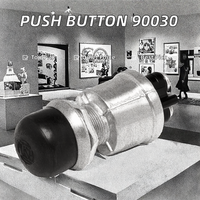 Interrupteurs à bouton-poussoir robustes de la série 90030 SW P-P MOM NO 2POS CAP