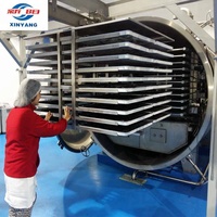 2026 Xinyang Beste Kwaliteit Automatische Vacuümvriesdroger Lyofilisatiemachine 125m² met 1500kg/batch Laadcapaciteit