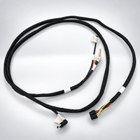 Harnais de câblage multi-branche personnalisé OEM, assemblage de câbles USB Type C pour l'automatisation industrielle, équipement robotique