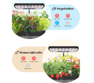 Sistema de Cultivo Interior de 4.6L con Luz LED de Cultivo, Sistema de Riego Automático, Jardinera de Suelo, Kit Completo para Cultivo de Hierbas - Product Image 5