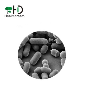 Lactobacillus plantarum poudre, poudre de Probiotiques pour <span class=keywords><strong>la</strong></span> santé Digestive - Product Image 1