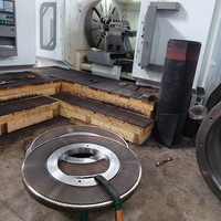 Pièces de rechange pour moulin à granulés de bois et machine à granulés de biomasse à sciure de bois, en acier X46Cr13 52-54, haute résistance à l'usure, pour moteur à roulement à billes et matrice plate 39-1000