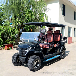 Carrito de Golf de Lujo con Motor Turbo de Gasolina, Neumáticos R20, Asientos de Cuero Oscuros, Precio al por Mayor - Product Image 1
