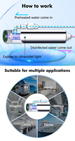 Stérilisateur d'eau par rayonnement ultraviolet UVC 8 GPM pour la purification de l'eau