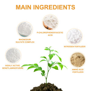 MoonSpry Premium 3-1-2 fertilizante líquido concentrado <span class=keywords><strong>para</strong></span> árboles <span class=keywords><strong>cítricos</strong></span> naranja fruta árbol planta raíz hoja verde belleza - Product Image 5