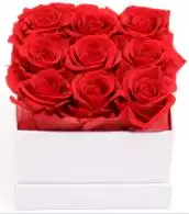 Fleurs décoratives Saint Valentin Cadeau Immortel Infinity Eternal Forever Stabilized Préservé Roses Box