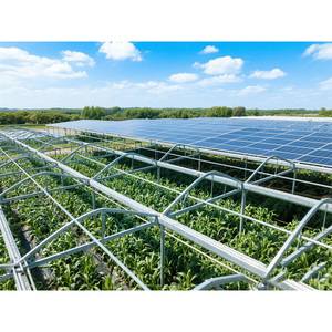 Sistema de Montaje de Estructura <span class=keywords><strong>Solar</strong></span> en Suelo con Riel de Aluminio Anodizado Plateado OEM para Soporte de Paneles Solares y Función de Bloque de Hormigón/Estaca Helicoidal - Product Image 6