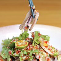 Tiras de Calamar Illex Congeladas de Alta Calidad, Tiras de Calamar sin Piel, Exportador de Mariscos IQF a Granel, Aprobado por HACCP, Longitud de 6-10 cm