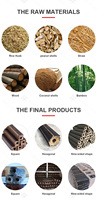 Machine à briquettes de charbon de bois en promotion, pour coques de riz, petites pailles, sciure de bois et biomasse