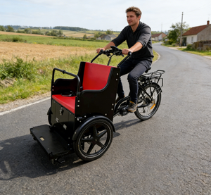 Vélo <span class=keywords><strong>cargo</strong></span> électrique à 3 roues pour le transport de personnes âgées, handicapées ou blessées, 9 vitesses, fauteuil roulant à assistance électrique et vélo de soins - Product Image 5