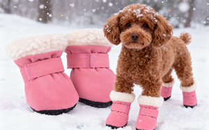 नवीनतम डिजाइन प्यारा ठोस मुद्रित एंटी-स्क्रैच शीतकालीन थर्मल प्लग रबर पालतू कुत्ते जूते के जूते विरोधी पर्ची नीचे - Product Image 4