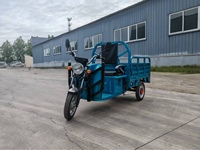 Triciclo Eléctrico de Litio de 800W para Transporte de Mercancías, Modelo EEC con Certificado COC