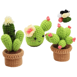 Kit de <span class=keywords><strong>crochet</strong></span> pour débutants, ensemble de plantes au <span class=keywords><strong>crochet</strong></span> DIY avec fil, <span class=keywords><strong>crochet</strong></span> et modè<span class=keywords><strong>le</strong></span> pour réaliser des décorations de plantes suspendues et des fausses succulentes, cadeau - Product Image 1