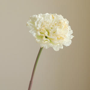 <span class=keywords><strong>Fleurs</strong></span> <span class=keywords><strong>artificielles</strong></span> en latex véritable, carnations vertes, <span class=keywords><strong>pour</strong></span> la fête des mères, accessoires de photographie, décorations, vente en gros - Product Image 4