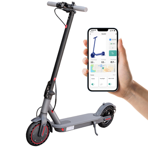 Monopattino Elettrico Portatile Leggero 12.5KG, Potenza 250W, Pneumatici Solidi da 8.5 Pollici, Impermeabile IP65, E-scooter per Adulti, Magazzino UE - Product Image 1